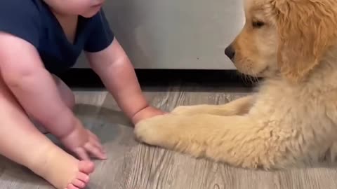 Baby playing with puppy