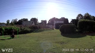 Wyze Battery Cam Pro Raw 2k Footage