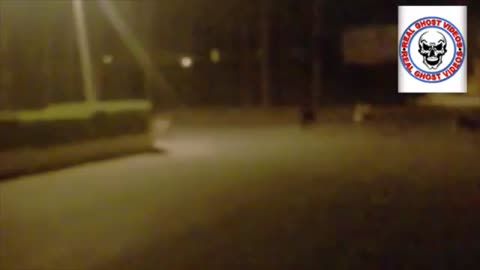Ghost Caught on Camera Trying to Catch Dogs