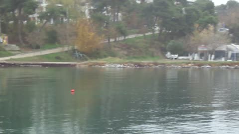 Wetland in front of the former "Panagia" Clinic