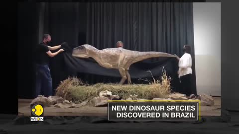 Kurupi Itaata- A New dinosaur species discovered in Brazil | WION English News