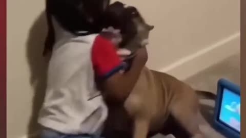 dog-and-baby-playtime