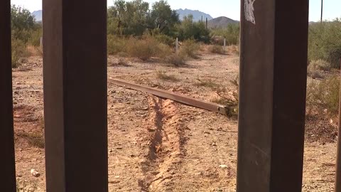 Lukeville, Arizona: Groups of illegal immigrants rushed through a breach in the border wall