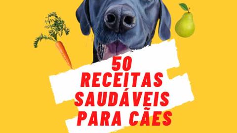 50 receitas saudaveis para caes #shorts