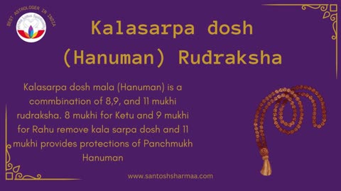 Best rudraksha shop in India | Kalasarpa dosh (Hanuman) | Original rudraksha shop online