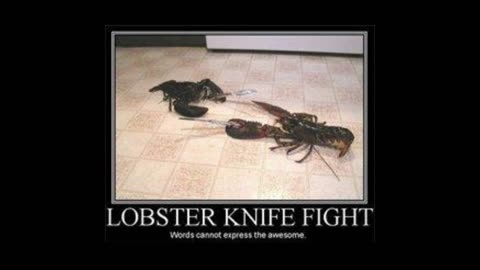 Lobster knife fight!
