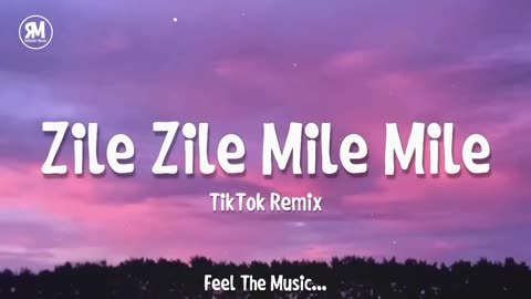 Zile Zile Mile Mile TikTok Remix Song