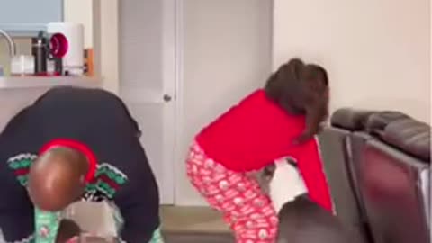 Putting sweaters on pitbulls