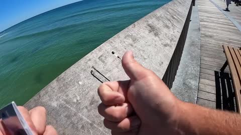 Saltwater PIER FISHING with Shrimp!