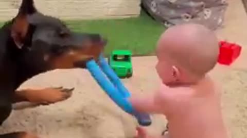 "Heartwarming Moments: Adorable Dog and Baby Boy's Playtime Adventure!"