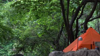 Rainy-Day Camping Rainstorm Relishing Peaceful Camping Alone Tent Shelter part2