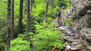 TN MOUNTAIN HIKING TRIP