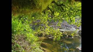 Day out (by Kolpa river and above)