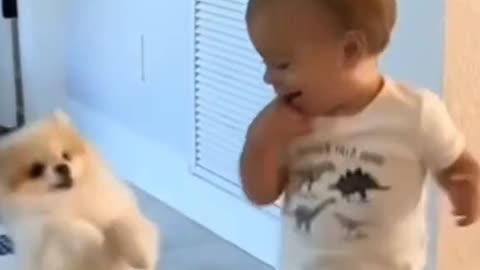 Dog playing with child🥰🤣😅