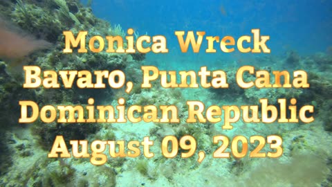 SCUBA Diving The Monica Wreck of the coast of Bavaro Beach, Punta Cana, Dominican Republic