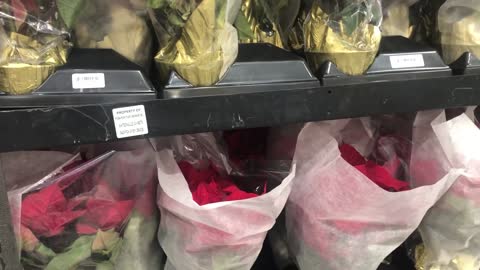 Costco Wholesale Christmas Flower for Cost 12月6日2022年