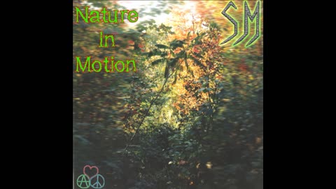 07 Nature in motion