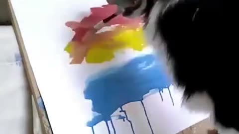 smart husky doing paint art work