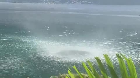 WATERSPOUT FORMING AND MOVING ON LAND IN FORT-DE-FRANCE, MARTINIQUE.