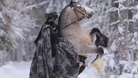 Beautiful Lady With Beautiful Horse