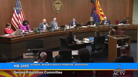 Arizona State Senator Explains Vote On K-12 Sexually Explicit Materials Bill