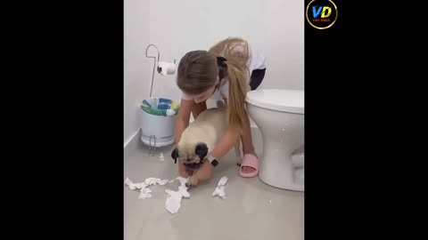 Cat 😺 and dog 🐶 best funny 🤣😂 moments