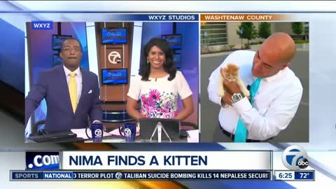 Stray Kitten Crashes Reporter's Live Shot