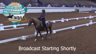 WDAA Western Dressage World Championship Show | Ring 1 | Day 2