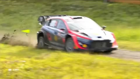 The Best of WRC Rally