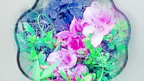 Azalea, Beautiful flower, Flower Rhythm, Flower Expression, Photo of Flower Scenery