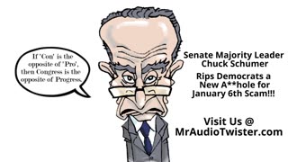 Senate Majority Leader Chuck Schumer rips the Democrats a new A**HOLE for lying about January 6th!!