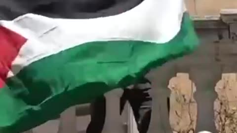 Italian Member of Parliament Stefano Apuzzo hangs the Palestinian flag on the