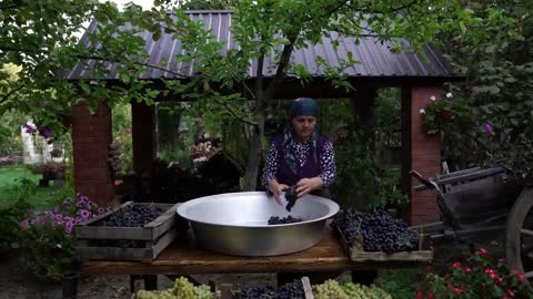Putting the Best Turkey Grapes in a Pot