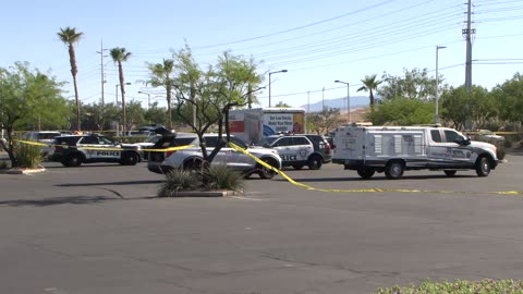 Multiple dead animals found dead in vehicle in northwest Las Vegas Valley