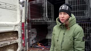 Volunteer hopes to move animals from Ukraine to Latvia
