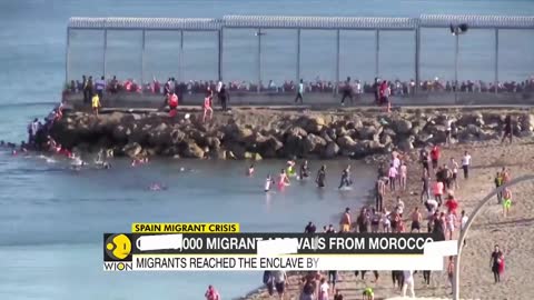 Spain Migrant Crisis: Spain witnesses unprecedented migration | Latest World English News | WION