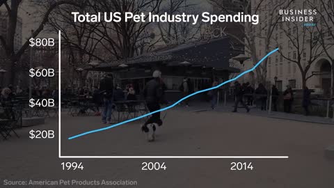 Why Americans Spend So Much Money On Pets