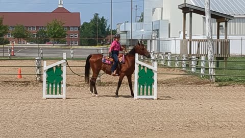 Nora on Lady - Trail Class - Lenawee County Fair 23 July 2024