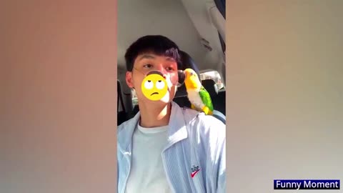 Parrot Men handind Daceing video.