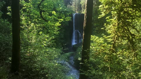 Middle North Waterfall View from afar! | Trail of Ten Falls | Silver Falls State Park | Oregon | 4K