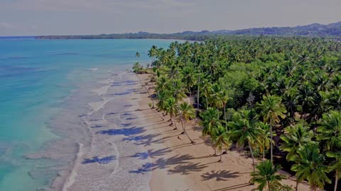 Dominican Republic 12K HDR Dolby Vision - Cinematic Video