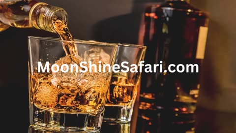 This Whiskey's for You by MoonShine Safari featuring J Caleb