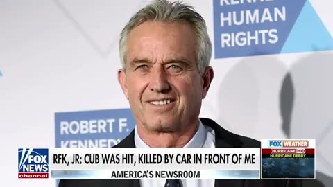 RFK Jr. makes stunning admission in dead bear cub controversy