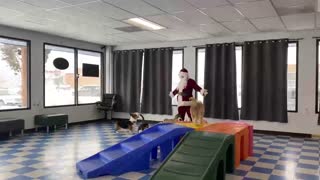 Our Littles Playing With Santa