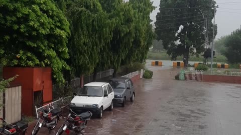 Beautiful Raining scene