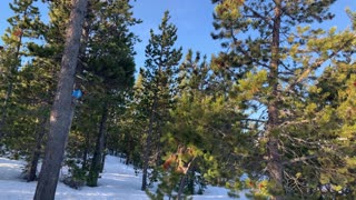 Gorgeous Snowy Alpine Meadow – Central Oregon – 4K