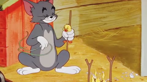 Tom and Jerry Old Episodes Cartoon 1080P