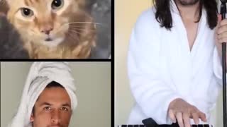 Kitty Eilish x The Kiffness - Bath Cat (Billie Eilish Bad Guy Parody)