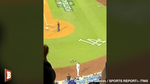 Goose on the Loose Interrupts Dodgers-Padres Game, Evades Authorities