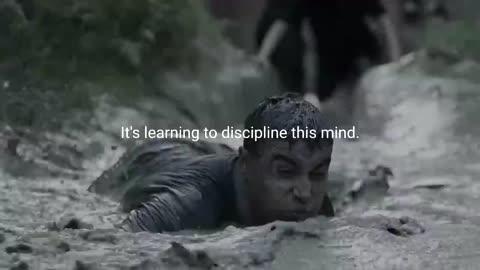 DISCIPLINE